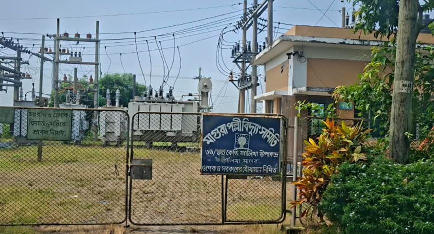 সংগৃহীত ছবি