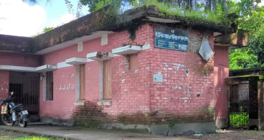 সংগৃহীত ছবি