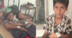 স্কুল ফিডিংয়ের খাবার খেয়ে ১২ শিক্ষার্থী অসুস্থ