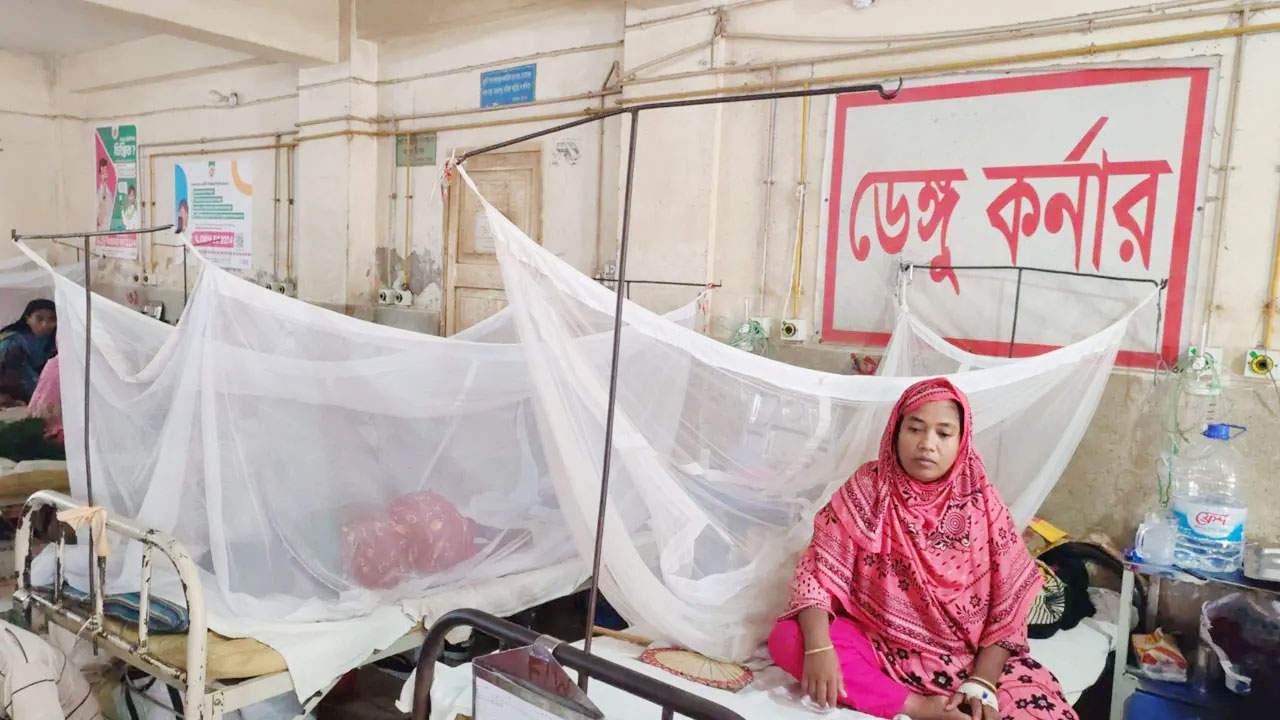 সংগৃহীত ছবি