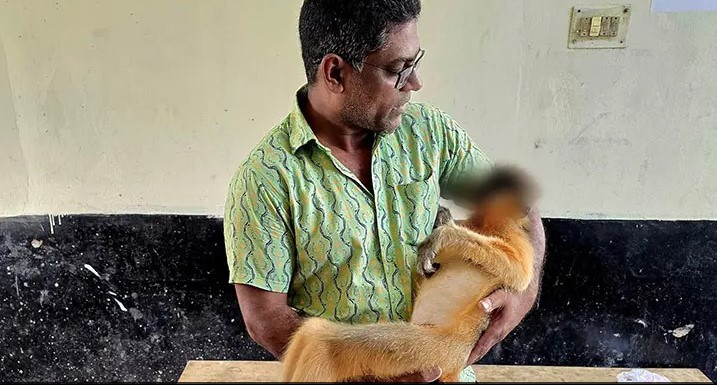 সংগৃহীত ছবি
