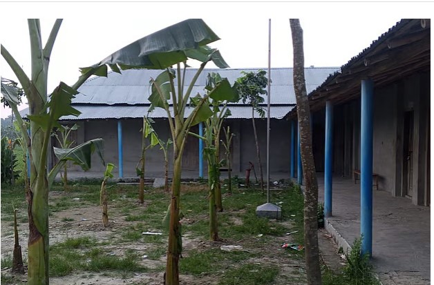 সংগৃহীত ছবি