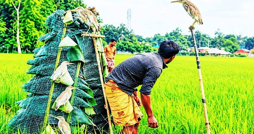 সংগৃহীত ছবি
