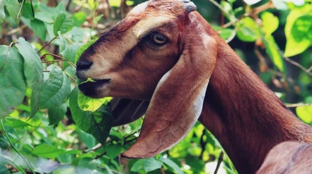 প্রতীকী ছবি
