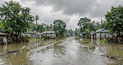 বাঘায় পদ্মার চরে আবারও বাড়ছে পানি