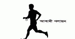 আবারও আদালত থেকে পালালেন হত্যা মামলার আসামি শরিফুল