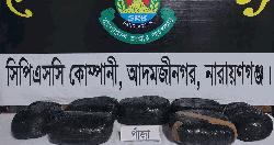 নারায়ণগঞ্জে মাদকবিরোধী অভিযানে ১৪ কেজি গাঁজা উদ্ধার