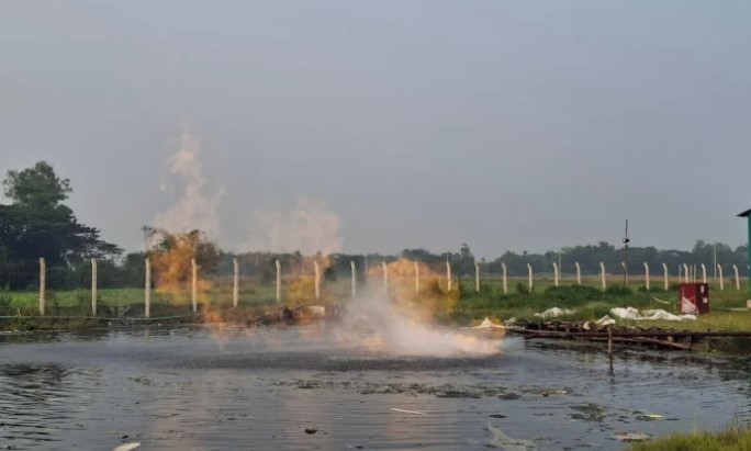 সংগৃহীত ছবি