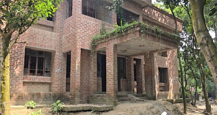 সংগৃহীত ছবি