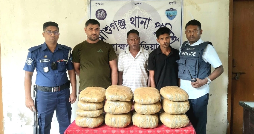 সংগৃহীত ছবি