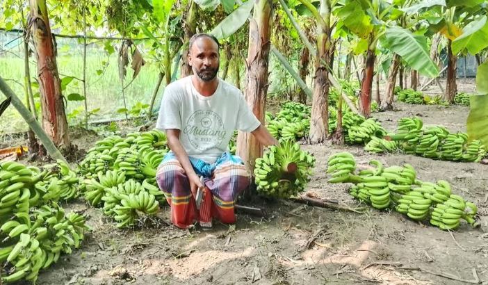 সংগৃহীত ছবি