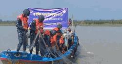 চাঁদপুরে নৌবাহিনীর অভিযানে বিপুল পরিমাণ কারেন্ট জাল জব্দ
