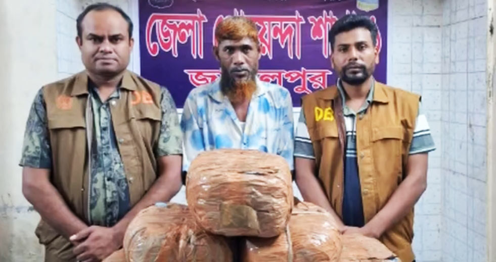 জামালপুরে ২০ কেজি গাঁজাসহ মাদক কারবারি গ্রেপ্তার