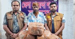 জামালপুরে ২০ কেজি গাঁজাসহ মাদক কারবারি গ্রেপ্তার