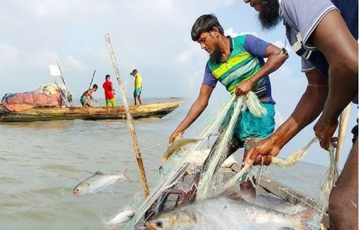 ইলিশ রক্ষায় আইনপ্রয়োগের তাগিদ দিয়ে প্রাণিসম্পদমন্ত্রীর ১১১ ডিও