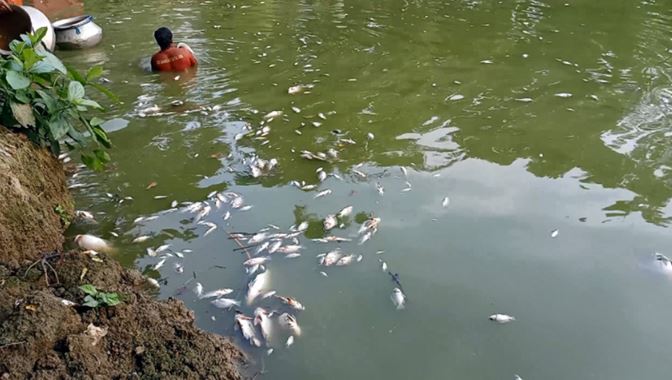সংগৃহীত ছবি