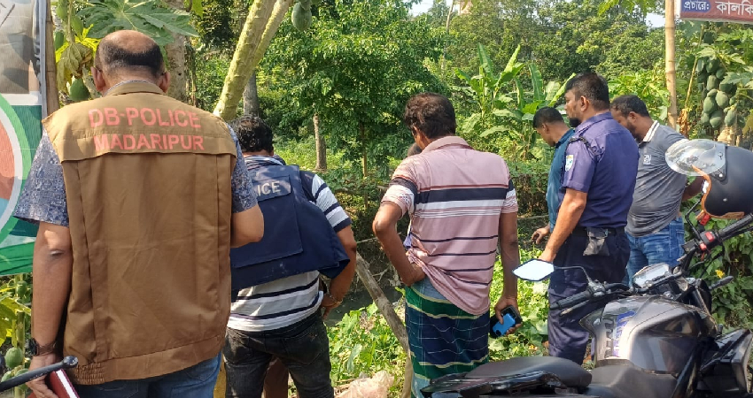 সংগৃহীত ছবি