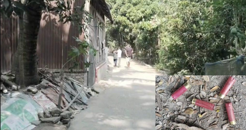 সংগৃহীত ছবি