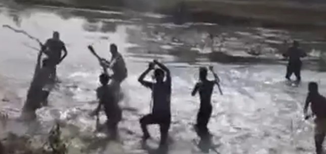 সংগৃহীত ছবি