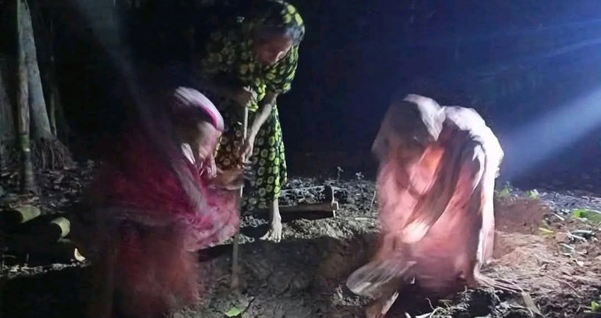 সংগৃহীত ছবি