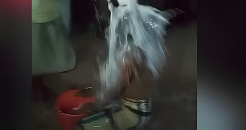 সংগৃহীত ছবি
