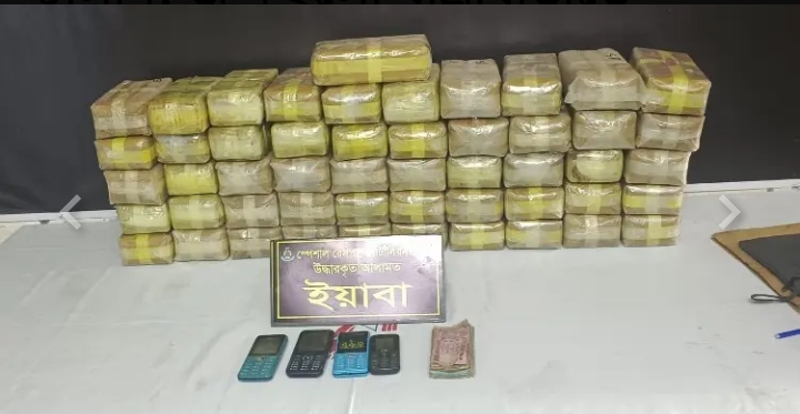 সংগৃহীত ছবি